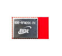 BDE-RFM206-IN-915 Image