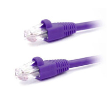 CAT6-PURPLE-75FT Image