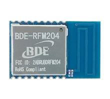 BDE-RFM204-915 Image