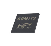 BGM11S12F256GA-V2 Image