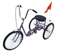 IBIKE-3-DC-P Image