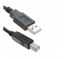 CA-USB-AM-BM-10FT Image