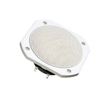 FRS 10 WP - 4 OHM (WHITE) Image