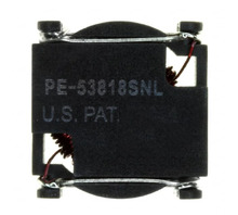 PE-53818SNL Image