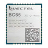 BC65PB-04-STD Image