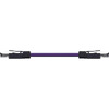 CAT6 PVC-020FT Image