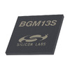 BGM13S22F512GN-V2 Image