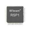 RSP1_TQFP CHIP Image