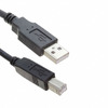 CA-USB-AM-BM-6FT Image