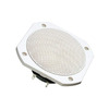 FRS 10 WP - 8 OHM (WHITE) Image