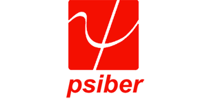 Psiber Data Systems, Inc.